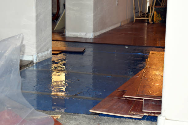 Professional Basement Flood Cleanup technician working in Princeton, WI